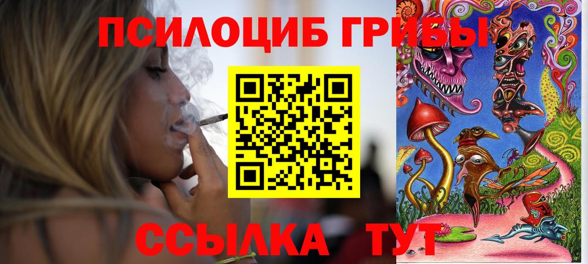 Псилоцибиновые грибы GOLDEN TEACHER Муравленко