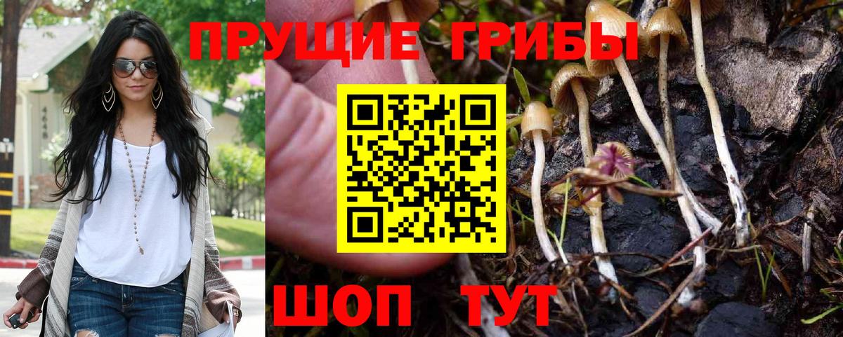 Муравленко  Галлюциногенные грибы Psilocybine cubensis  Вход с VPN  Псилоцибиновые грибы MAGIC MUSHROOMS 